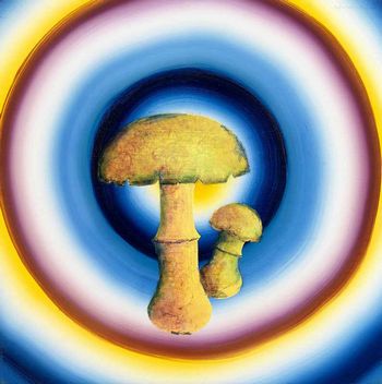 Mushrooms opera di Soggiu Mauro New York 2007